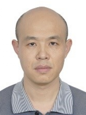 杨小强